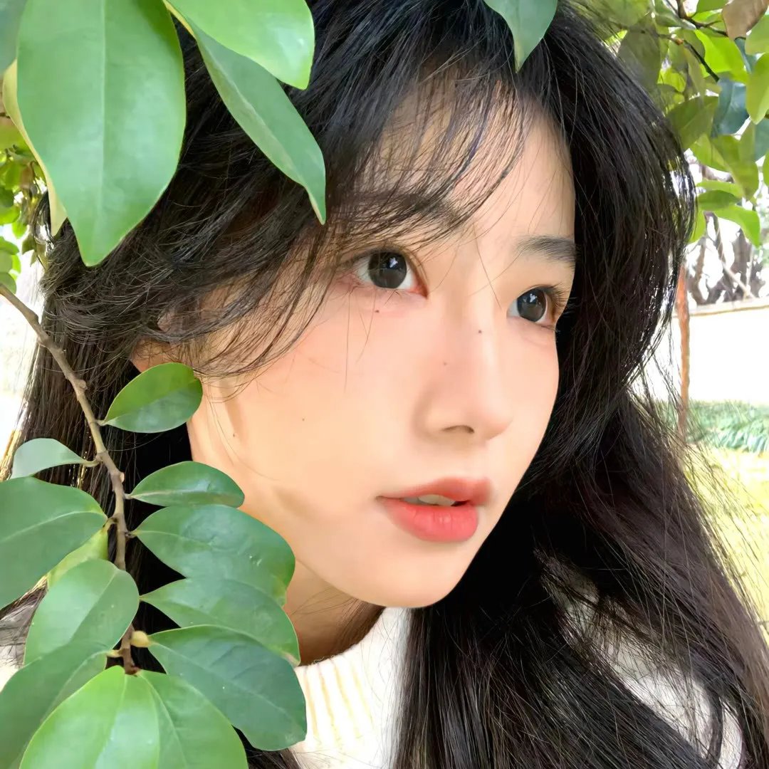 只怪太操心